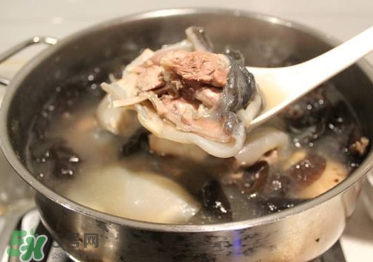 甲魚湯孕婦能喝嗎？甲魚湯孕婦可以喝嗎