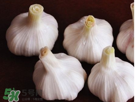 新蒜頭怎么弄成老蒜頭？新蒜頭和老蒜頭的區(qū)別