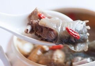 甲魚(yú)湯怎么做？甲魚(yú)湯的做法