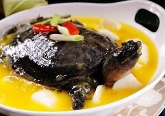 甲魚(yú)不能和什么一起吃？甲魚(yú)不能跟什么食物一起吃