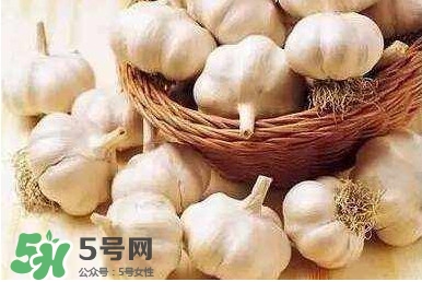 新蒜頭怎么保存不發(fā)芽？新蒜頭怎么存放