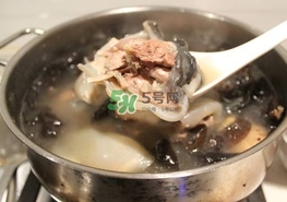 甲魚湯怎么做？甲魚湯的做法