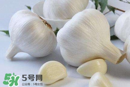 新蒜頭怎么保存不發(fā)芽？新蒜頭怎么存放