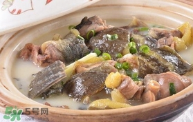 喝甲魚湯有什么好處？甲魚湯的功效與作用