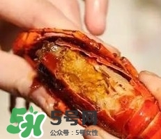 蝦黃孕婦能吃嗎？蝦黃在哪個(gè)位置圖解