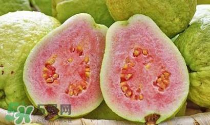 番石榴中間的籽能吃嗎？番石榴里面的籽能吃嗎