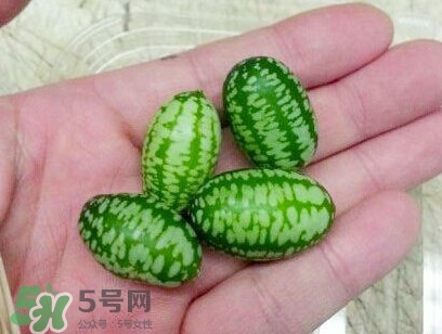 迷你西瓜能生吃嗎？迷你西瓜怎么吃