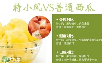 特小鳳西瓜孕婦能吃嗎？特小鳳西瓜孕婦可以吃嗎
