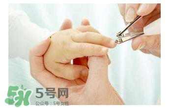 寶寶指甲用什么剪？寶寶剪指甲需要專門的工具嗎？