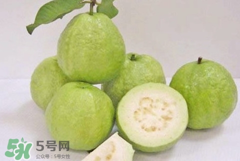 番石榴什么時候成熟？番石榴什么時候上市