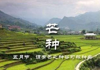 芒種種什么？芒種種什么疏菜？