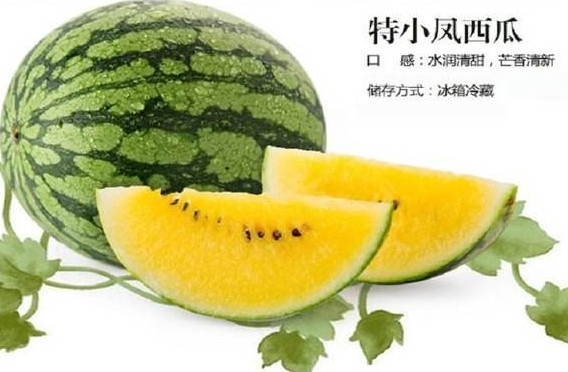 特小鳳西瓜是轉(zhuǎn)基因嗎？特小鳳西瓜是不是轉(zhuǎn)基因
