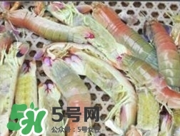 蝦黃孕婦能吃嗎？蝦黃在哪個(gè)位置圖解
