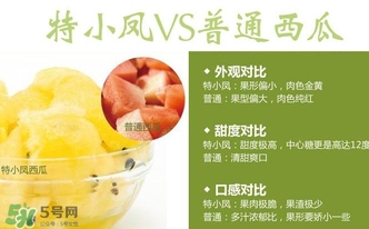 特小鳳西瓜多少錢一斤2017？特小鳳西瓜價(jià)格