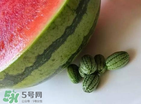 世界上最小的西瓜  迷你西瓜多少錢一個(gè)？