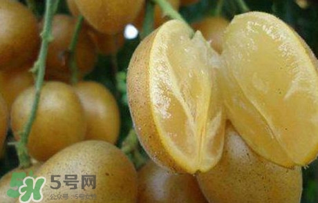 黃皮果多少錢一斤2017？黃皮果價(jià)格