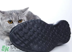 adidas alphabounce上腳怎么樣？阿迪達斯阿爾法小椰子測評