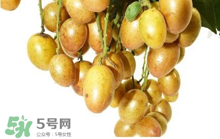 黃皮果什么時(shí)候成熟？黃皮果什么時(shí)候上市
