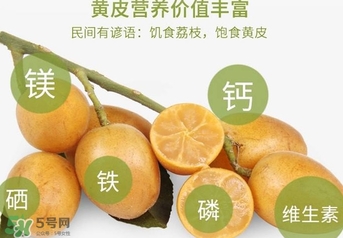 如何種植黃皮果？黃皮果怎么種植？