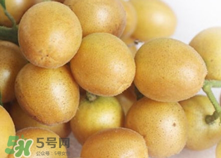 雞心黃皮幾年才掛果？雞心黃皮如何種植管理