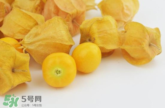 姑娘果是寒性嗎？姑娘果是涼性還是熱性？