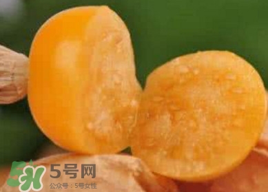 姑娘果是寒性嗎？姑娘果是涼性還是熱性？