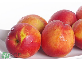 吃油桃會(huì)拉肚子嗎？拉肚子可以吃油桃嗎？