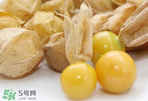 姑娘果什么時候成熟？姑娘果什么時候上市