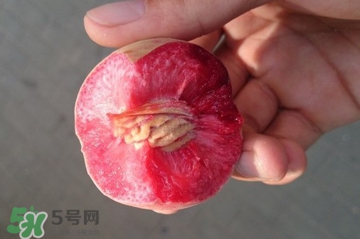血桃產(chǎn)地在哪？血桃哪些地方產(chǎn)