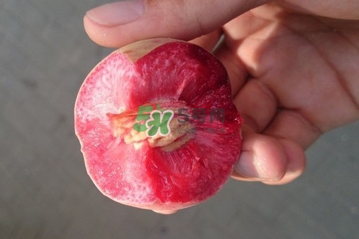 血桃多少錢一斤2017？血桃哪個(gè)品種最好吃