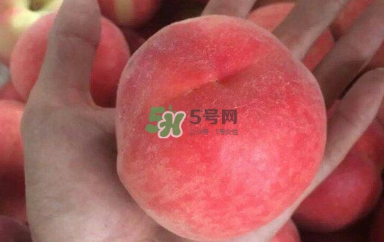 紅不軟桃?guī)自路莩墒?？紅不軟桃什么時(shí)候成熟