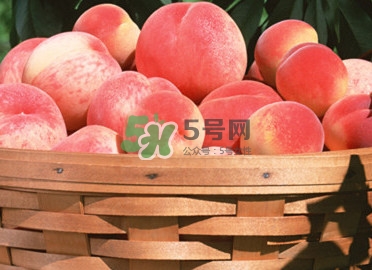 血桃多少錢一斤2017？血桃哪個(gè)品種最好吃