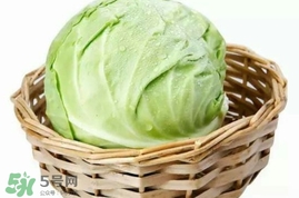 圓白菜是包菜嗎？圓白菜是大頭菜嗎？