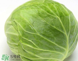 圓白菜是什么菜？圓白菜能生吃嗎？