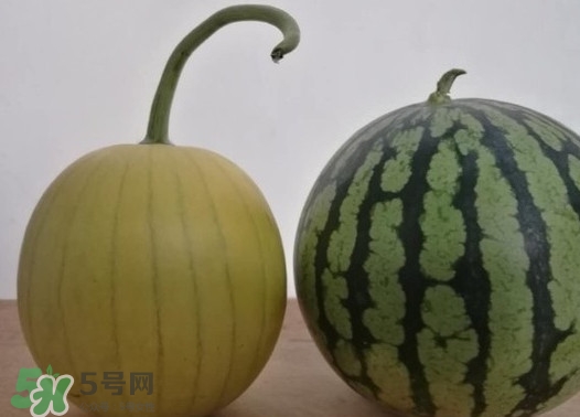 四色瓤西瓜是轉(zhuǎn)基因嗎？四色瓤西瓜是不是轉(zhuǎn)基因？