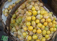 花姑娘水果怎么吃？花姑娘水果吃之前要洗嗎？