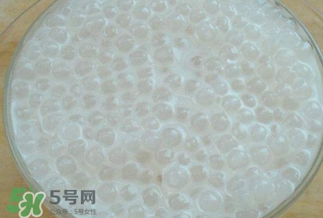 楊枝甘露是比喻什么？楊枝甘露是什么