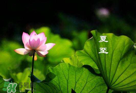 2017年夏至?xí)掠陠幔肯闹料掠暧惺裁凑f(shuō)法？