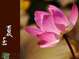 2017年夏至?xí)掠陠?？夏至下雨有什么說(shuō)法？