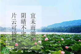 夏至是入伏嗎？夏至后多久入伏？