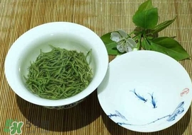 如何鑒別信陽(yáng)毛尖好壞？信陽(yáng)毛尖品鑒十步法