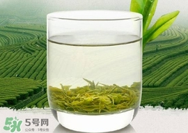 如何鑒別信陽(yáng)毛尖好壞？信陽(yáng)毛尖品鑒十步法