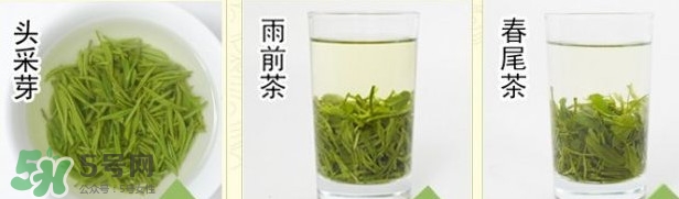 信陽毛尖什么牌子好？信陽毛尖哪個品牌好