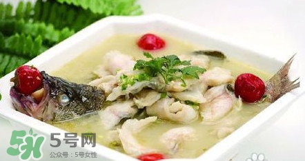 海鱸魚多少錢一斤2017？淡水鱸魚多少錢一斤？