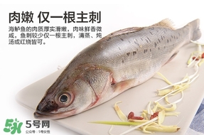 鱸魚是海鮮嗎？鱸魚是不是海鮮？