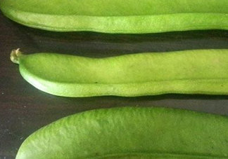 刀豆是四季豆嗎？刀豆和四季豆的區(qū)別