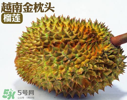 紅心榴蓮多少錢一斤？紅心榴蓮為什么這么貴？