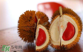 紅心榴蓮多少錢一斤？紅心榴蓮為什么這么貴？