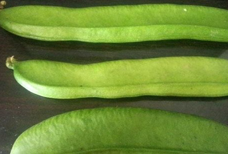 刀豆是發(fā)物嗎？刀豆是不是發(fā)物