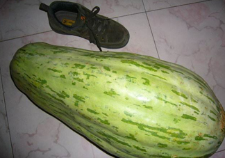 菜瓜怎么炒好吃？菜瓜怎么做好吃